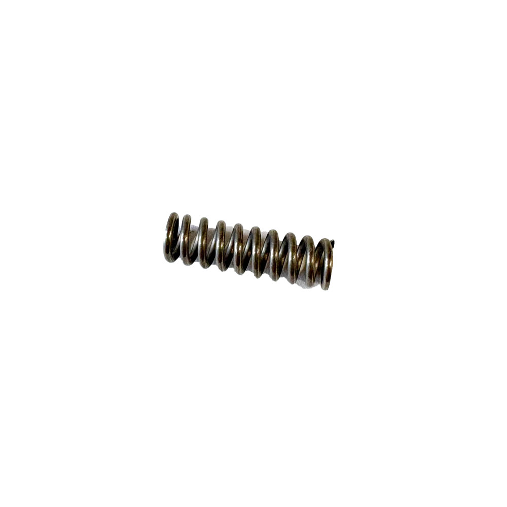 Reverse Detent Spring 56102